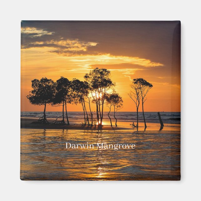 Darwin Mangrove, Australien, Magnet (Vorne)