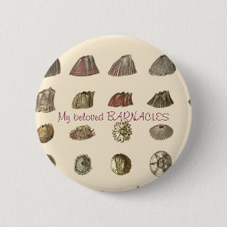 Darwin-Monograph-Armbänder, Meine geliebten BARNAC Button