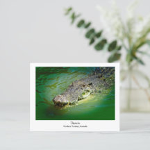 Darwin Northern Territory - Crocodile Postcard