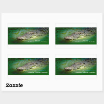 Darwin Northern Territory - Crocodile Stickers