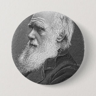 Darwin-Porträt Button