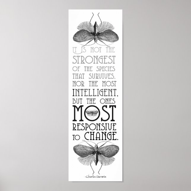 Darwin Quote Evolution Poster (Vorne)