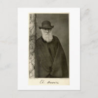 Darwin stehend neben einer Säule, veröffentlicht 1