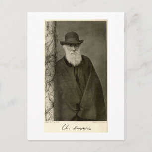 Darwin stehend neben einer Säule, veröffentlicht 1 Postkarte