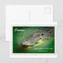 Darwin Territoire du Nord - Carte postale de croco