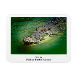 Darwin Territoire du Nord - Magnet de crocodile