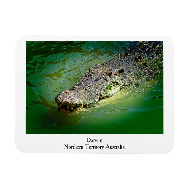 Darwin Territoire du Nord - Magnet de crocodile (Horizontal)