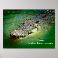 Darwin Territoire du Nord - Poster de crocodile