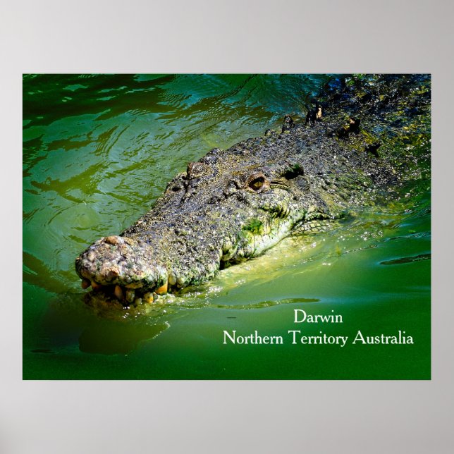 Darwin Territoire du Nord - Poster de crocodile (Devant)