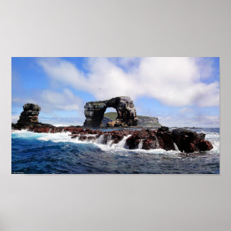 Darwins Arch auf den Galapagos-Inseln Poster