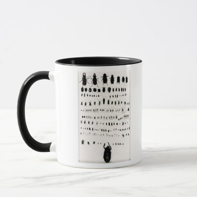 Darwins Insektensammlung Tasse (Links)