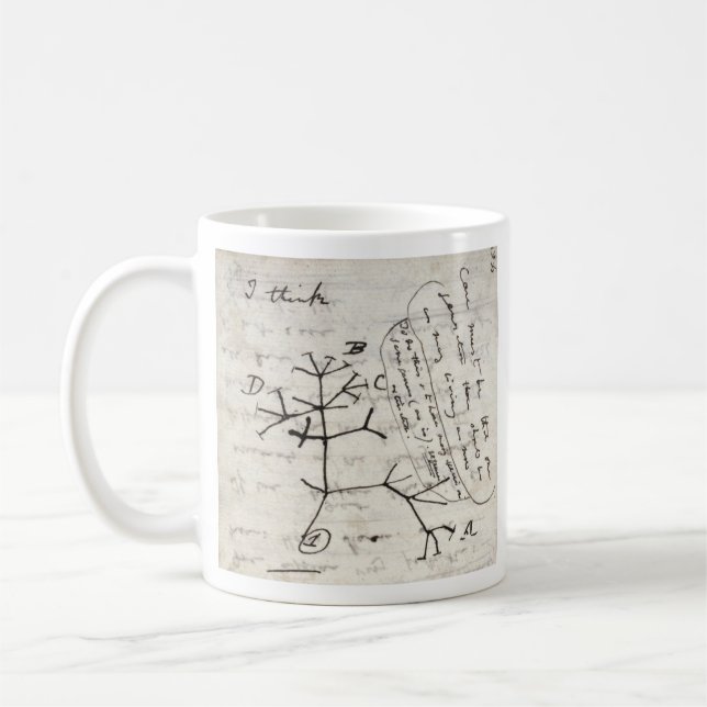 darwin's notebook kaffeetasse (Links)