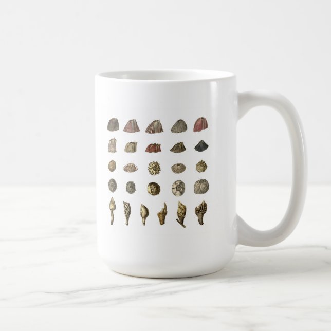Darwins Rankenfußkrebs-Tasse (weiß) Kaffeetasse (Rechts)