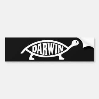 Darwinschildkröte-/-schildkröten-Autoaufkleber Autoaufkleber