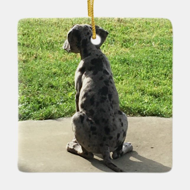 Das 1. X-Mas des großen Dänen Keramikornament (Vorderseite)