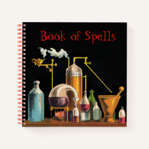 Das Alchemist Mad Scientist-Notebook Notizbuch