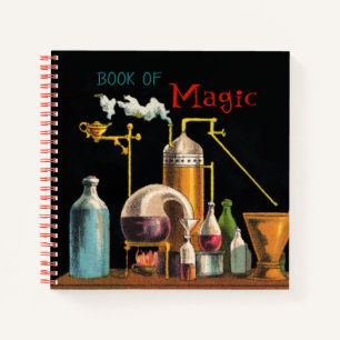 Das Alchemist Mad Scientist-Notebook Notizbuch