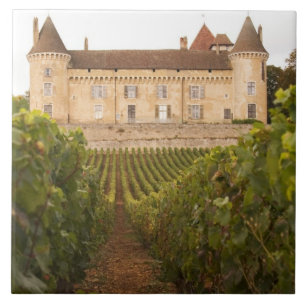 Das alte mittelalterliche Schloss Chateau de Rully Fliese