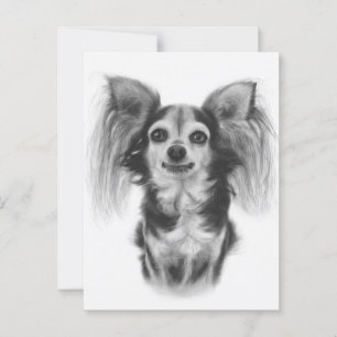 Das alte Soul - Handgemalt Chihuahua-Ausdruck Postkarte