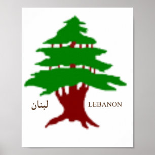 Das alte Zeder von Libanon Poster