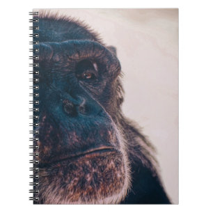 DAS ÄLTESTE CHIMPANZEI NOTIZBLOCK