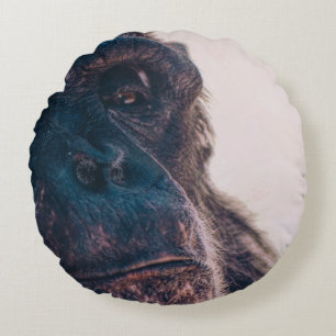DAS ÄLTESTE CHIMPANZEI RUNDES KISSEN