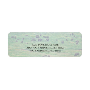 Das amerikanische Bison