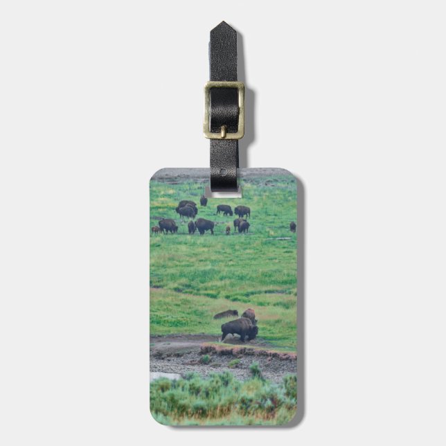 Das amerikanische Bison Gepäckanhänger (Vorderseite vertikal)