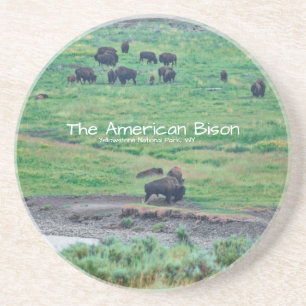 Das amerikanische Bison Getränkeuntersetzer
