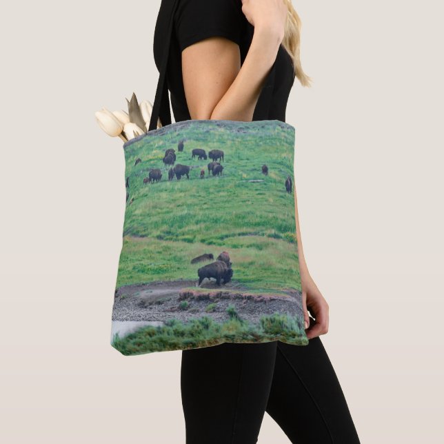 Das amerikanische Bison Tasche (Von Nahem)