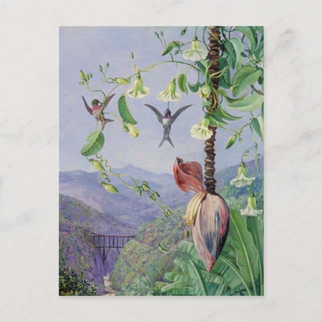 Das Aquädukt von Morro Velho, Brasilien, Marianne  Postkarte (Vorderseite)