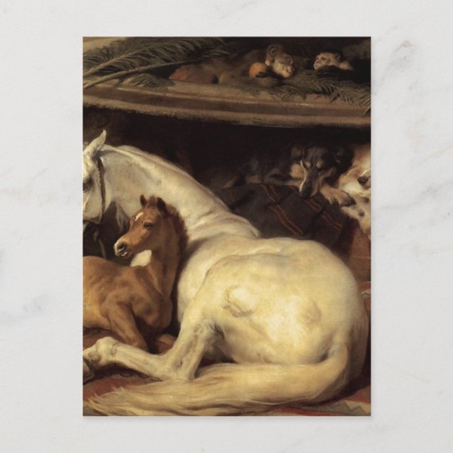 Das arabische Zelt von Edwin Henry Landseer Postkarte (Vorderseite)
