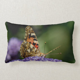Das Aufpassen und wartete Schmetterling Lendenkissen