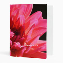 Das Auftragsbuch-Rosa-Dahlie-Garten-Zeitschrift