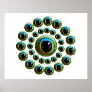 Das Auge des Drachen - Goodluck Chinese-Sammlung Poster