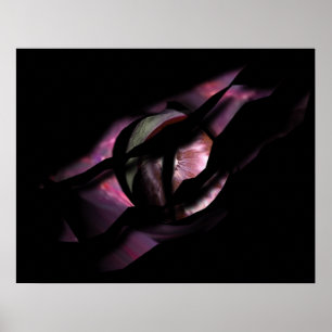 Das Auge des Drachen reißt durch Poster