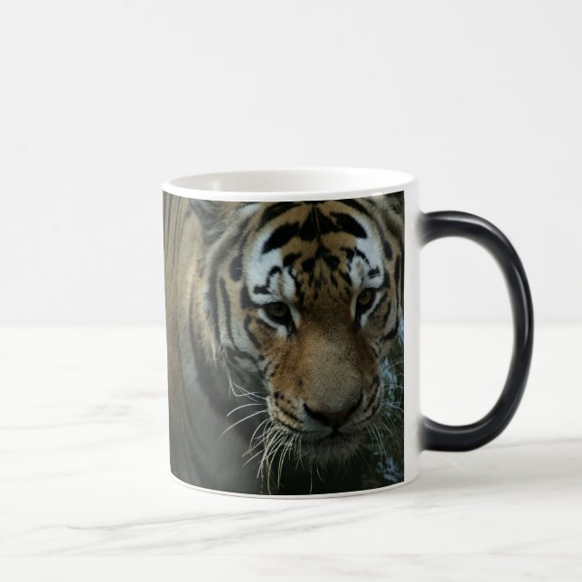 Das Auge des Tigers Verwandlungstasse (Rechts)