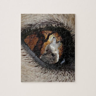 Das Auge des Wolfs