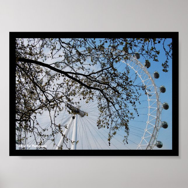Das Auge durch Herbstlaub Poster (Vorne)