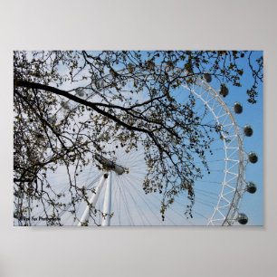 Das Auge durch Herbstlaub Poster