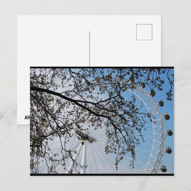 Das Auge durch Herbstlaub Postkarte (Vorne/Hinten)