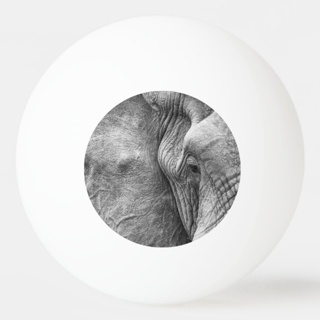 Das Auge eines Elefanten Tischtennisball (Vorderseite)
