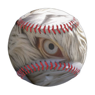 Das Auge eines Pelikanen Baseball