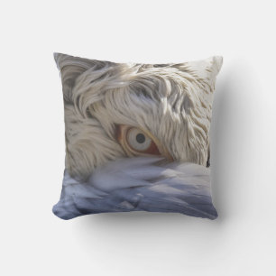 Das Auge eines Pelikanen Kissen