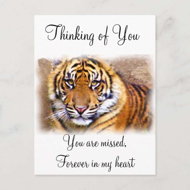 Das Auge sieht_ Postkarte (Vorderseite)