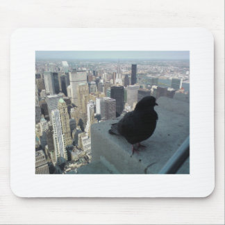 Das Augen-Ansicht des Vogels von New York Mousepad