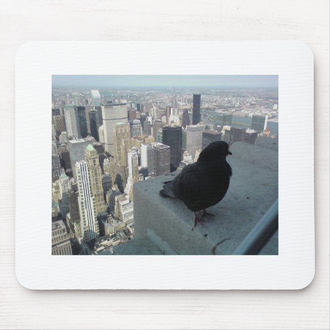 Das Augen-Ansicht des Vogels von New York Mousepad (Vorne)