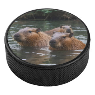 das Baden von Capybaras im Fluss, Eishockey Puck