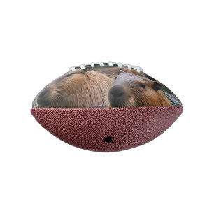 das Baden von Capybaras im Fluss, Football