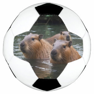 das Baden von Capybaras im Fluss, Fußball